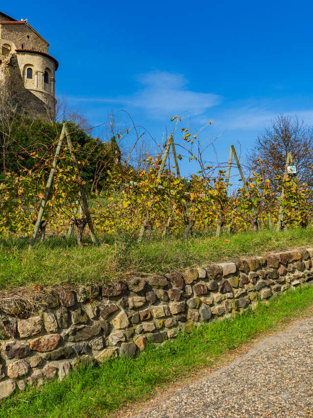 GR® 765 et Chemin de St-Jacques-de-Compostelle - Lyon/Le-Puy-en-Velay Etape Craintilleux - Saint-Georges-Haute-Ville