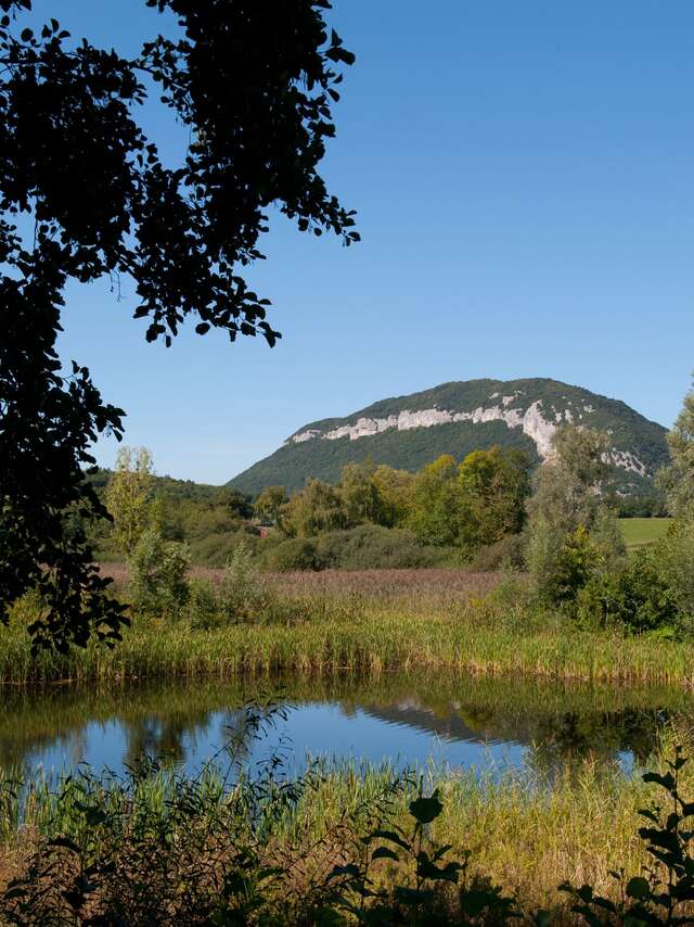Boucle cyclo : Tour de la Montagne d'Age