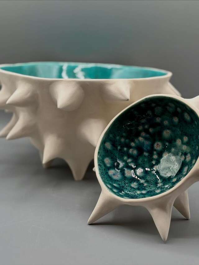 Terre Décalée - Patricia Cohen