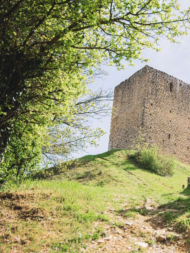 Tour d'Albon