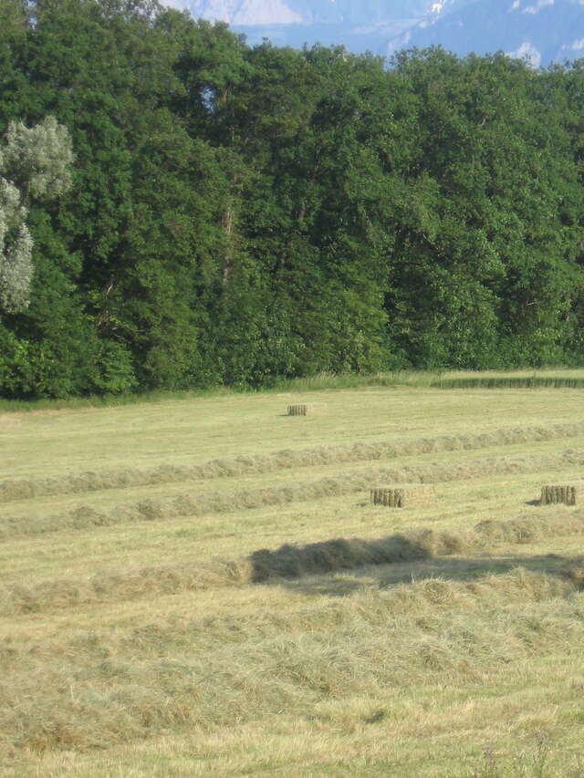 La Ferme de Corly