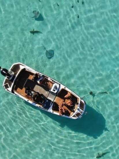 Mana'hau Boat - Sortie Baleines