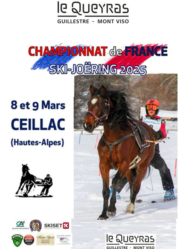 French Ski Joëring Championship