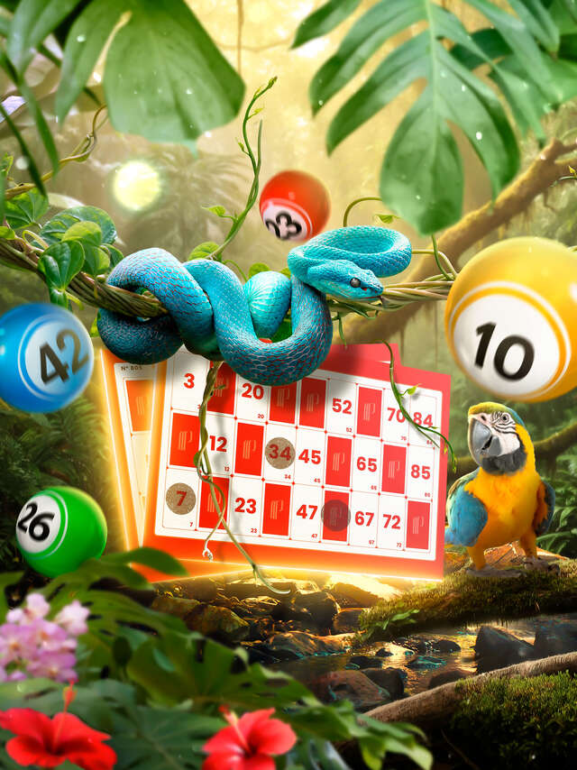 Bingo jungle