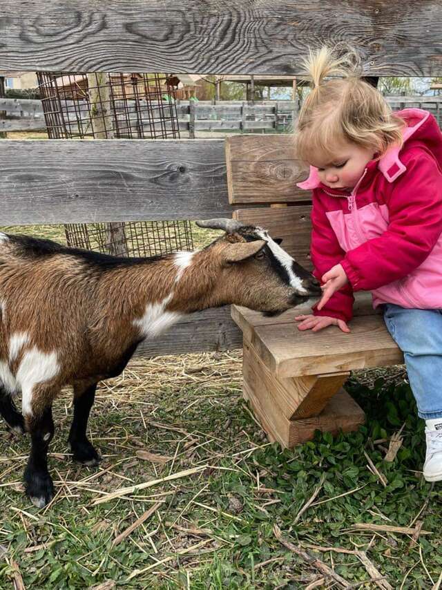 Ferme : Au bonheur des animaux