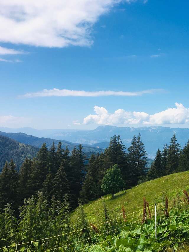 Le refuge de la Pierre du Carre