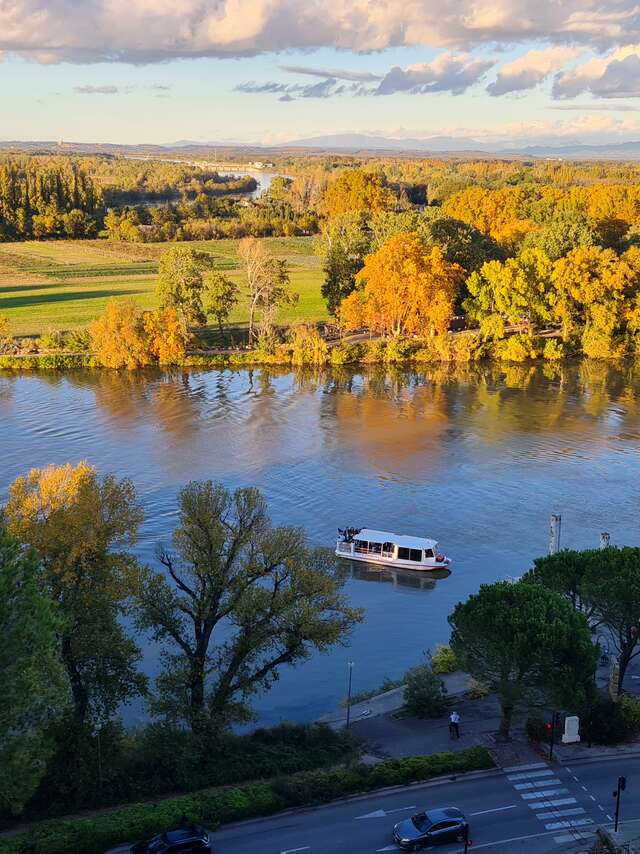 River shuttle ("bac à traille")