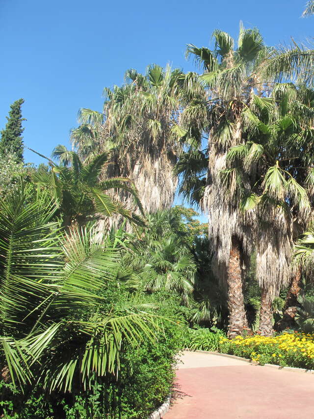 Parc Olbius Riquier