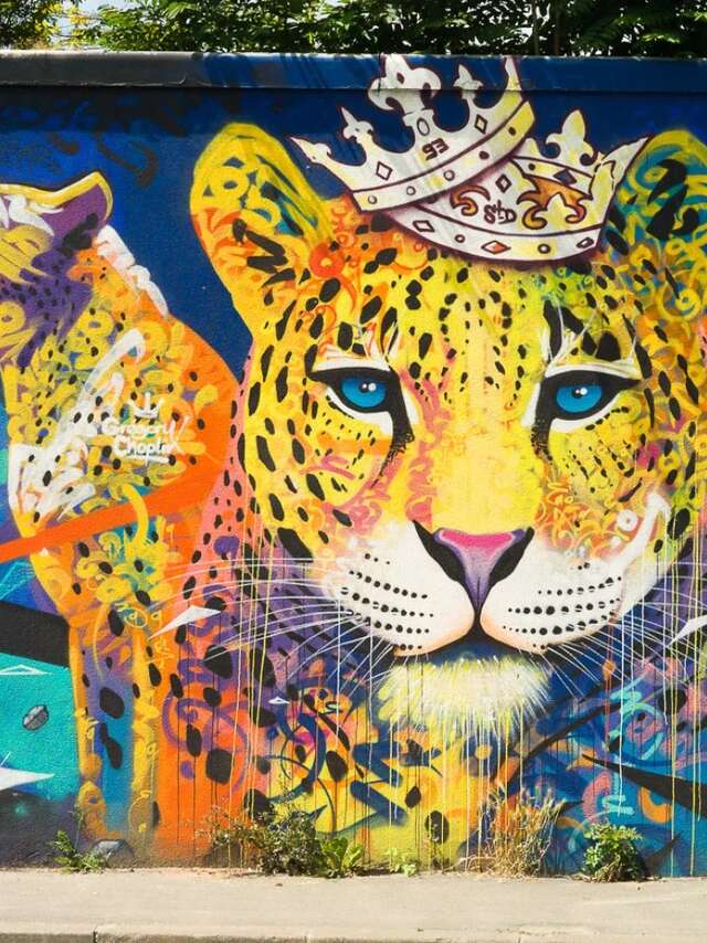 Event - Artistic residency of Turkish street artist Suat Serkan Çelmeli