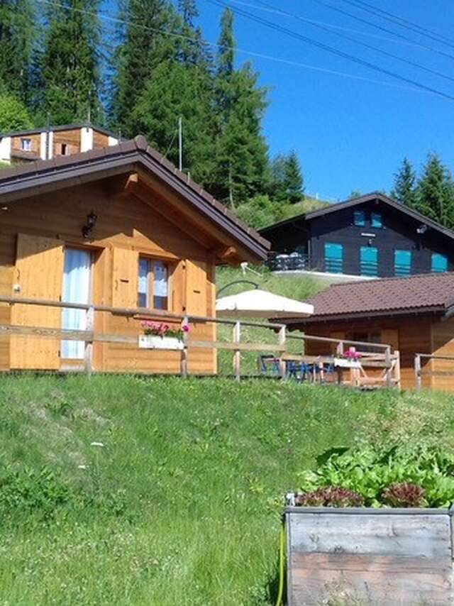 Le Butterfly - guest house