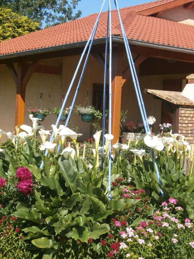 Chambres d'hôtes La Bergeronnette