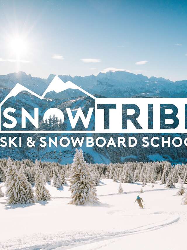 Privé skilessen