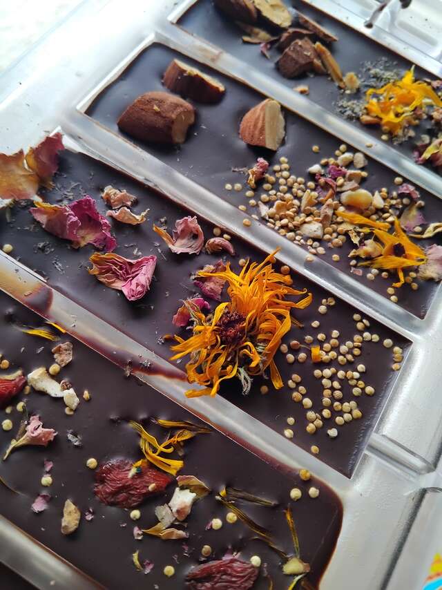 Atelier de découverte du cacao et création chocolatée