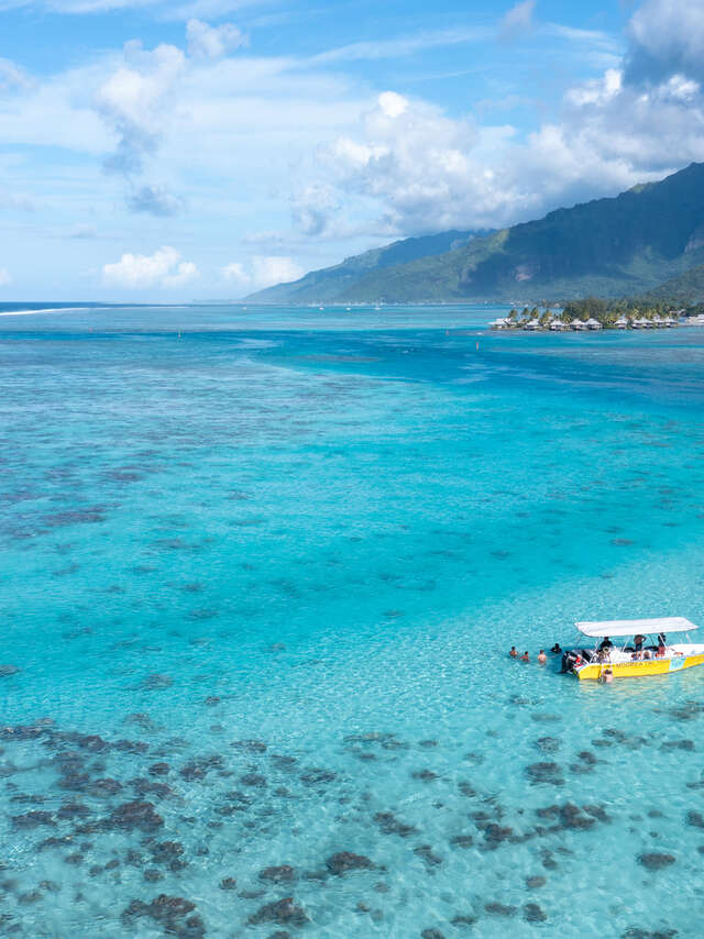 Moorea Tiki Tour - Sortie Baleine