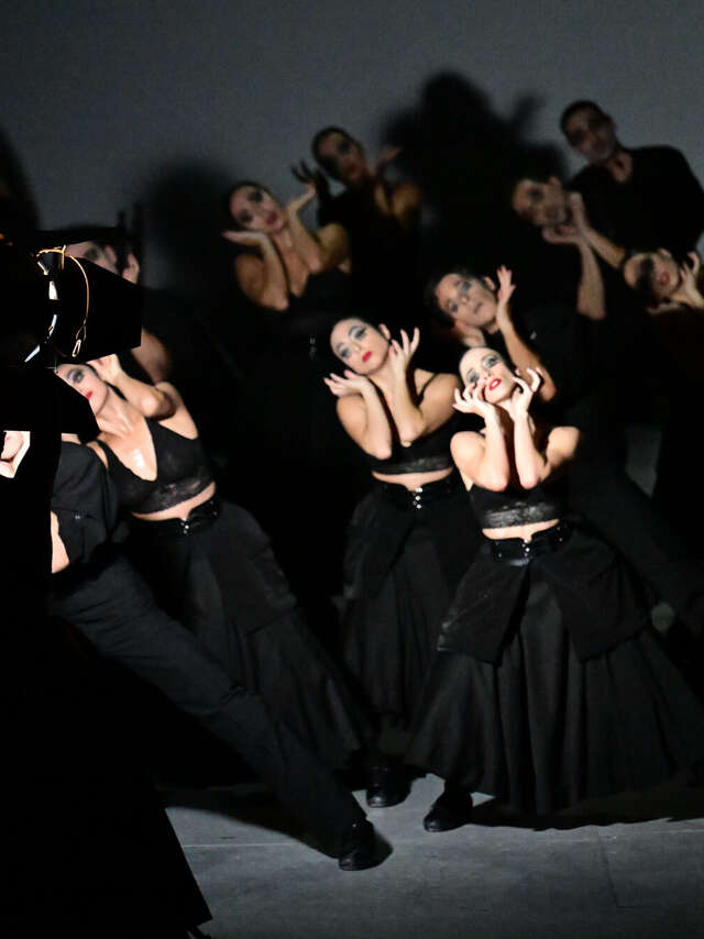 Ballet National D'Espagne - Marcos Morau  -"Afanador"