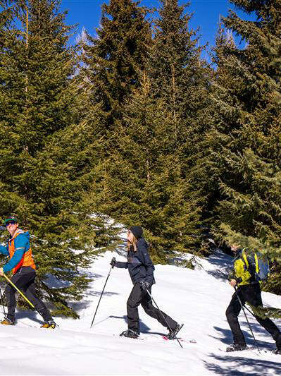 Détectives en raquettes