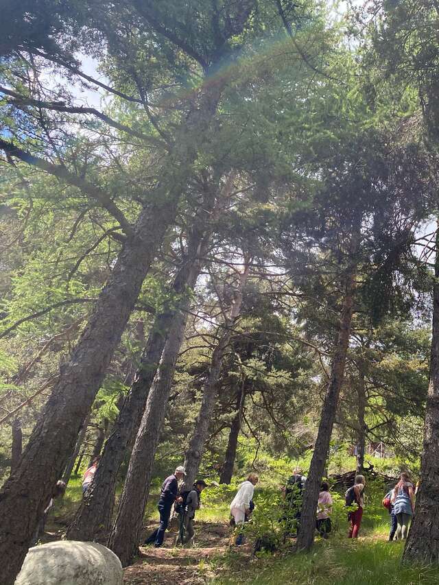 Arboretum Marcel Kroenlein