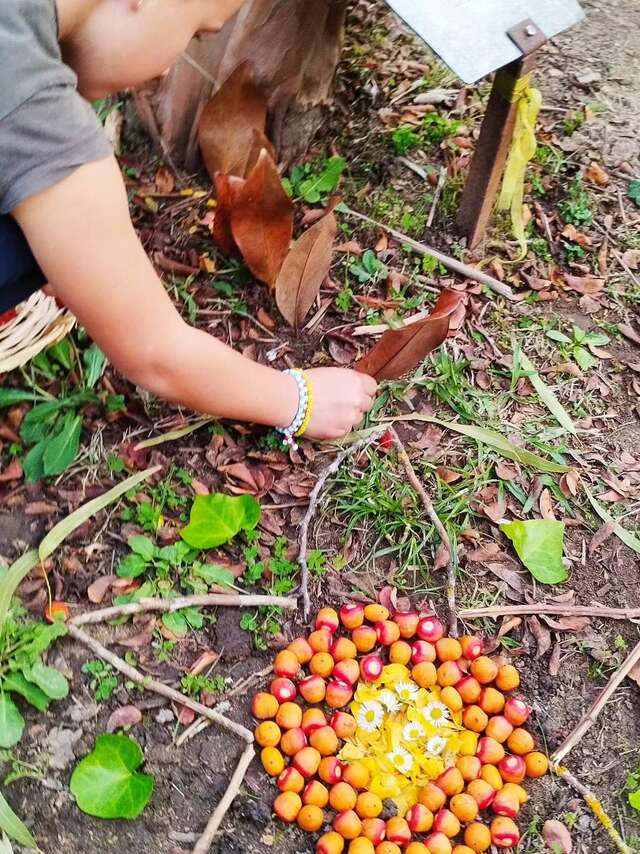 Workshop "Land Art