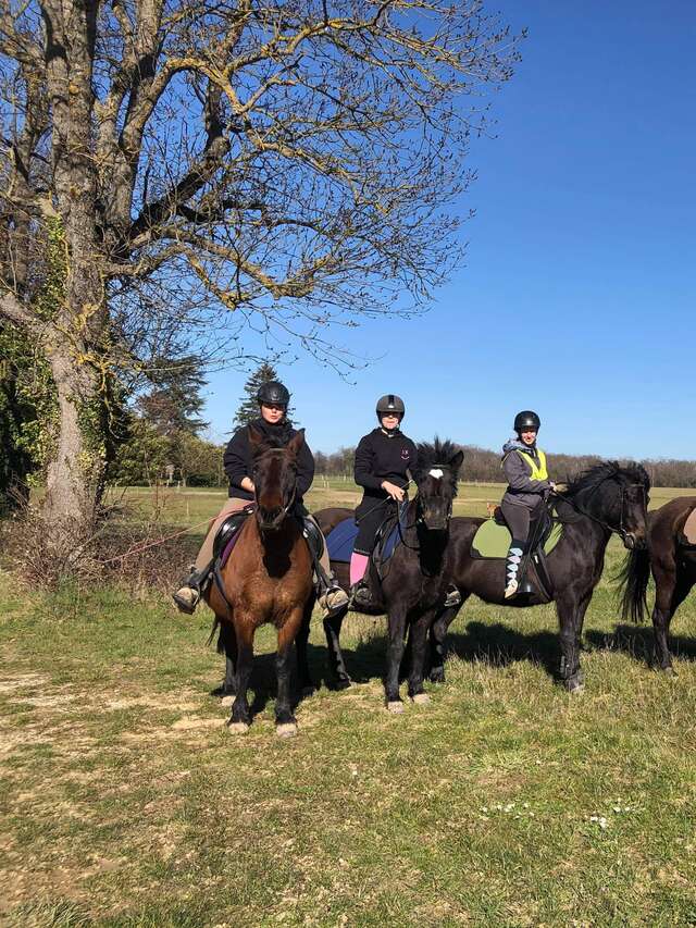 Balade à cheval avec les Huçuls en Dombes