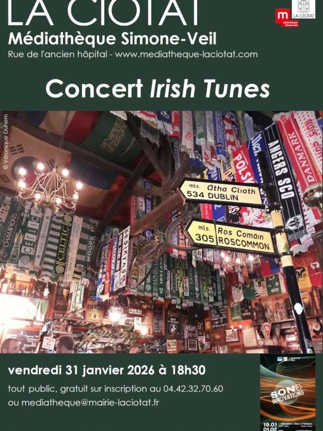 Irish Tunes Concert
