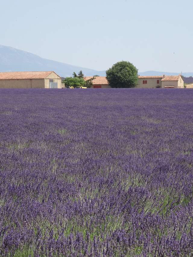 Conferenze ambientali a La Londe les Maures