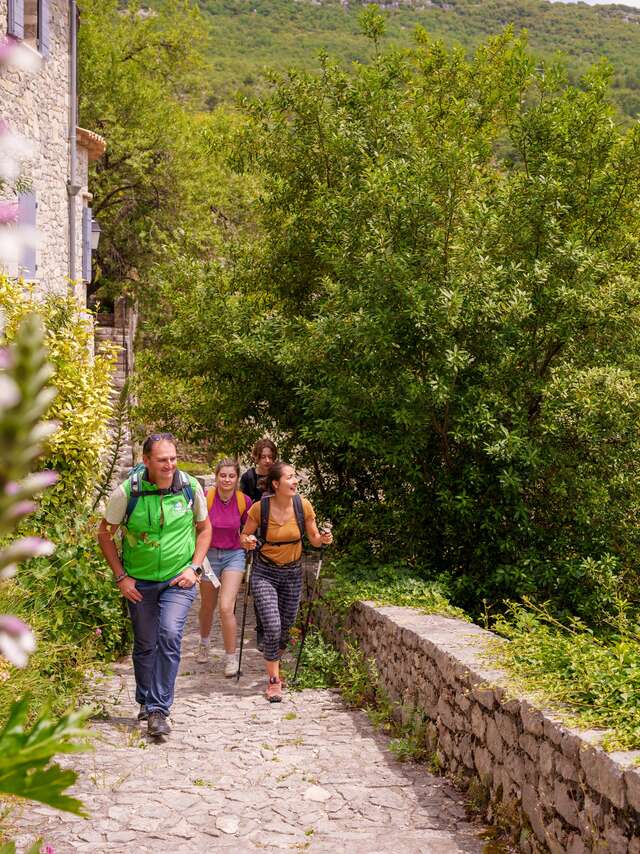 Festival Ventoux Saveur - Wandeltochten en maaltijden aan de voet van de Ventoux