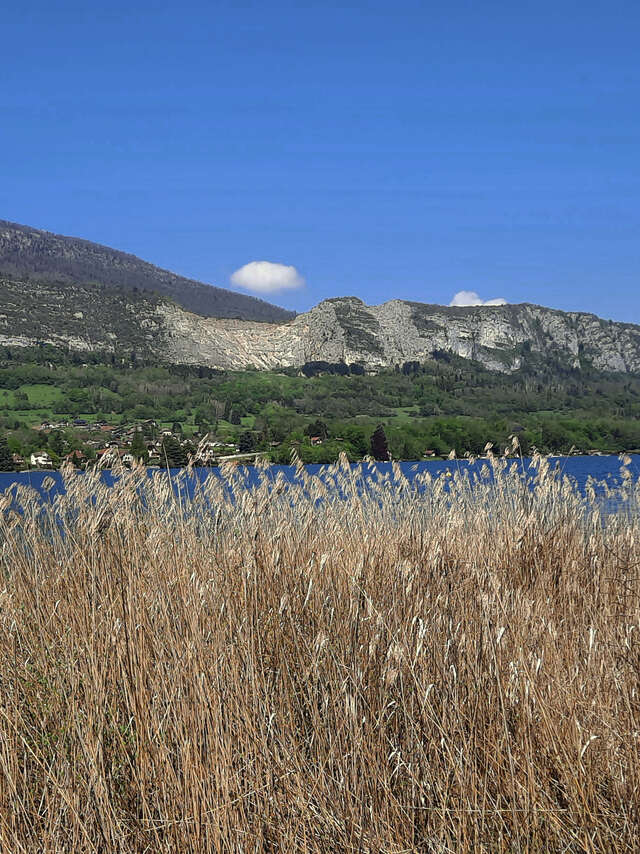 Randonnée accompagnée dans la Réserve Naturelle du Bout du lac