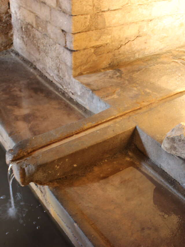 Visite de la Fontaine de la Pissotte, la source cachée