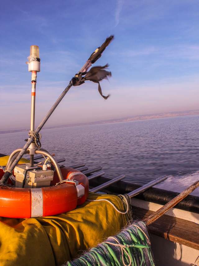 Découverte de la pêche à la traîne