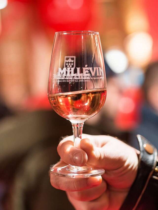 Millévin - Fête des Côtes du Rhône et du nouveau Millésime