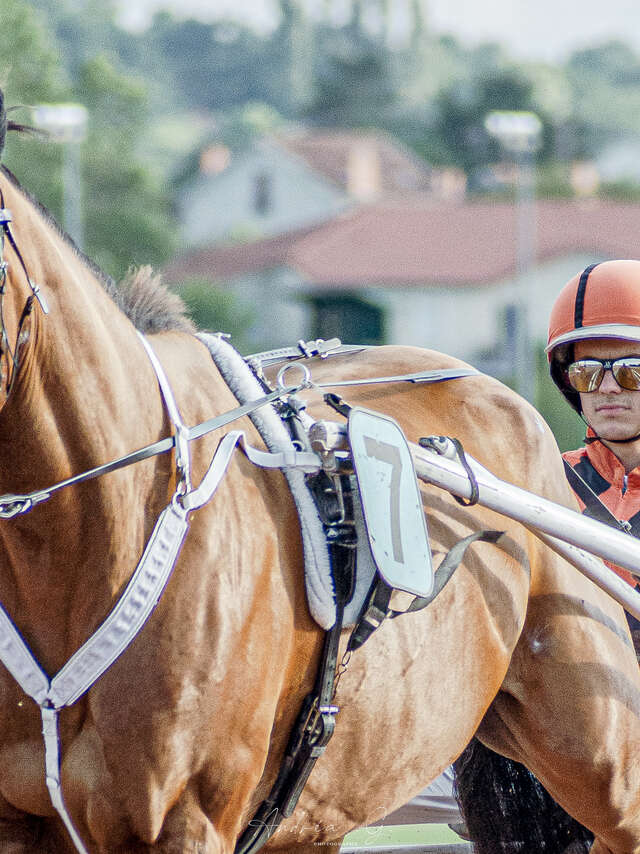 Courses de trot à l'Hippodrome de Vichy-Bellerive