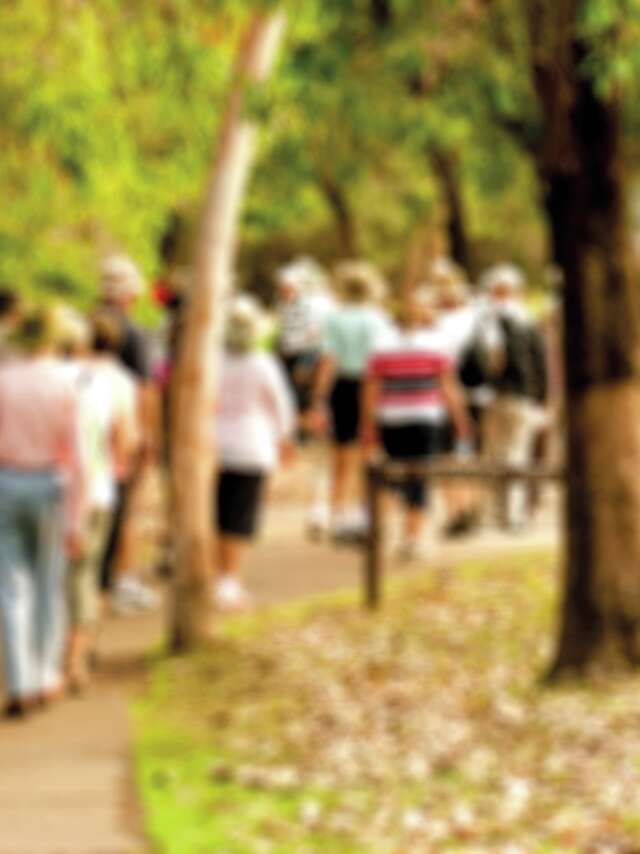 L’Art en mouvement