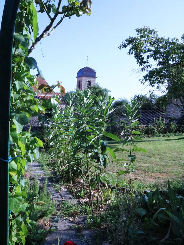Verjon, de l'église au château