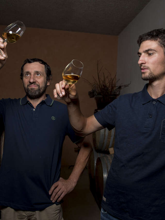 Apéro'vignes au Domaine La Gerbelle