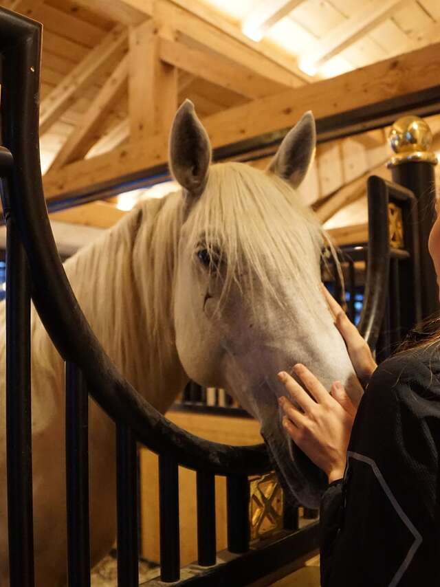 Poney-Club de Marly-le-Roi