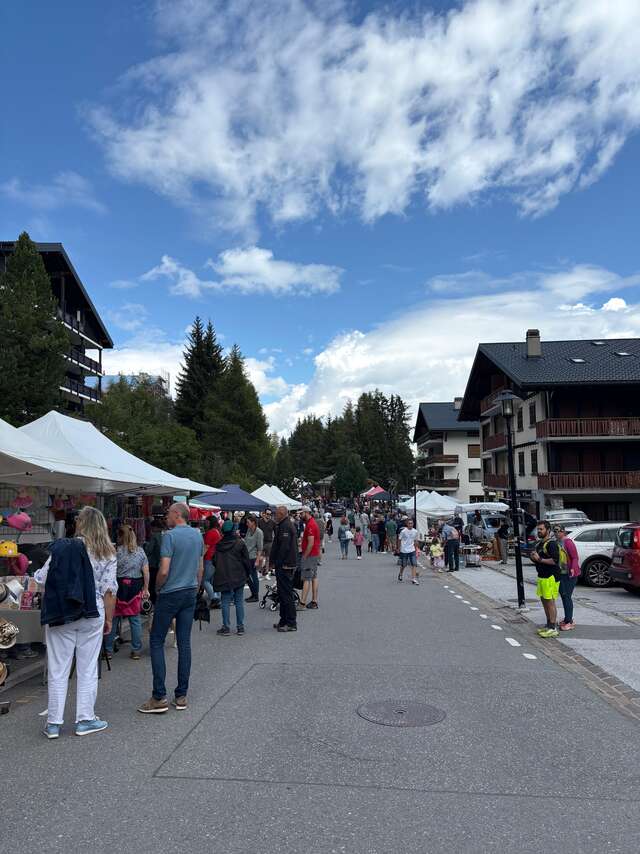 Brocante des Alpes et marché Artisanal