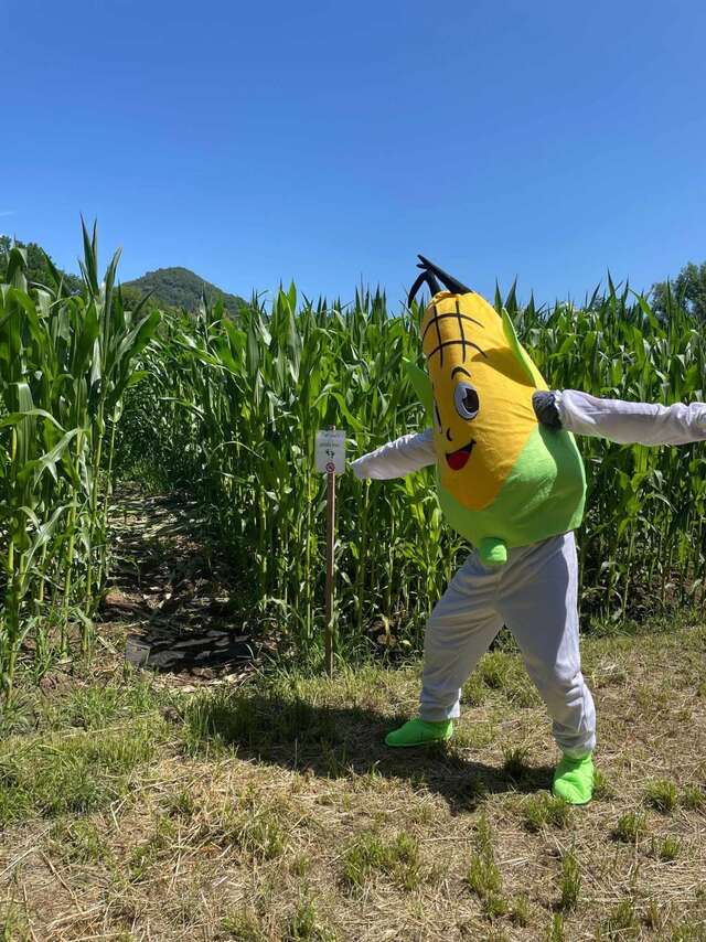 Labyrinthe maïs de Bassignac