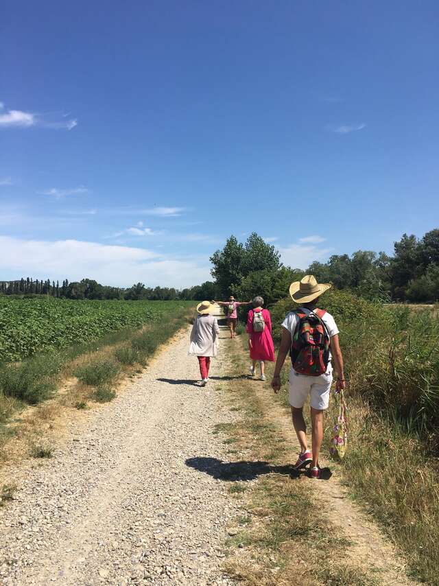 Along the Rhône