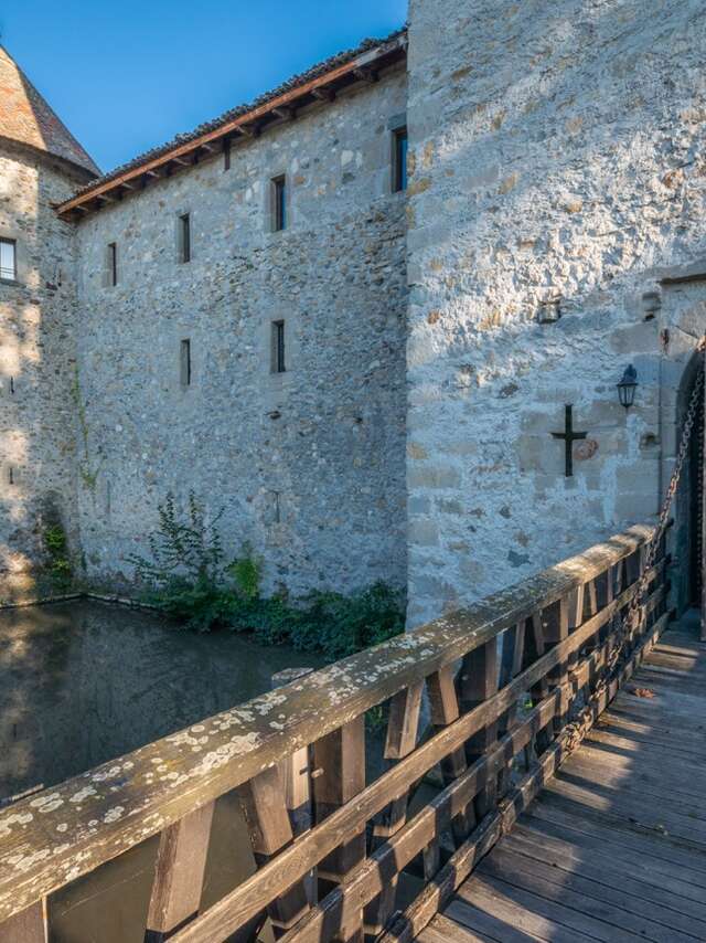 Castle of Saint Michel d'Avully