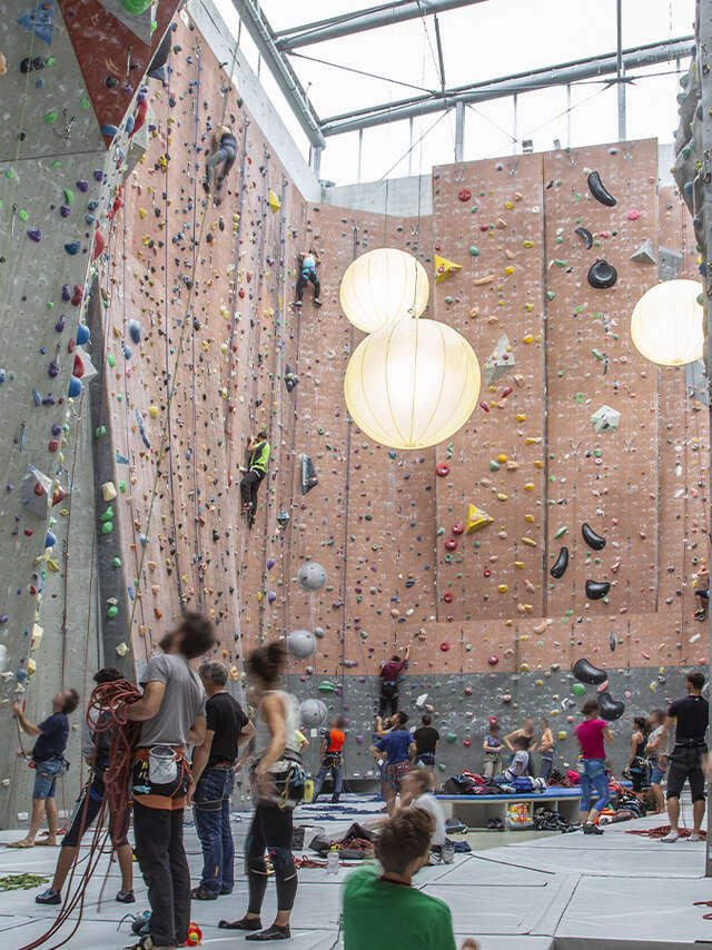 Vitam - Climbing wall