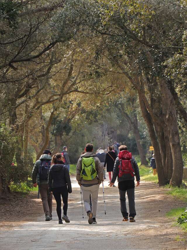 Punkt des Treffens : Biodiversität, die man kochen kann - Ile de Porquerolles