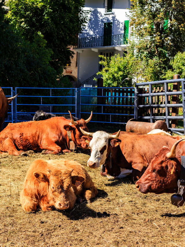 Foire Agricole de la Saint Mathieu