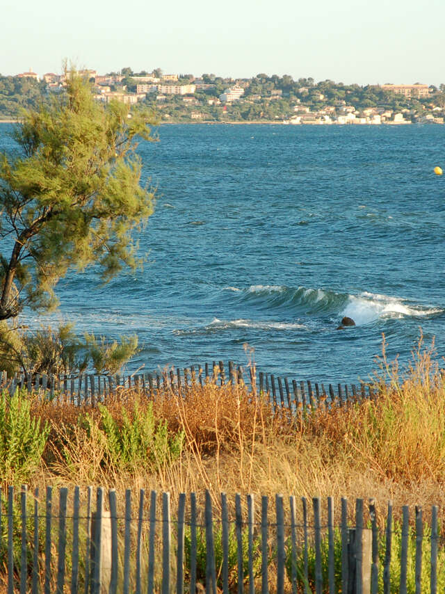 Midi Festival 2026 sur le site antique d'Olbia