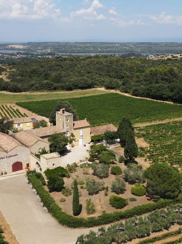 Vignobles des Templiers - Château d'Aiguilhon