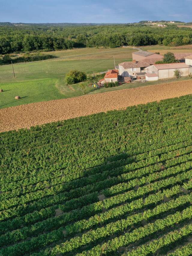 Domaine du Gabachou