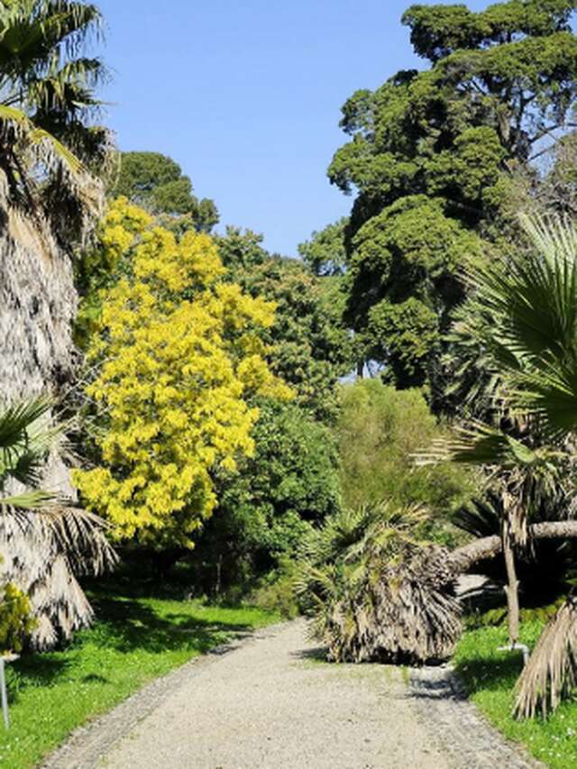 Jardin botanique Villa Thuret