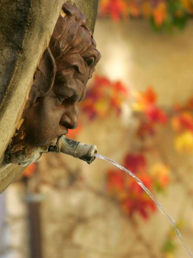 Vortrag von Simon Porcher 'Der gerechte Preis für Wasser!' - Park Rendezvous 2026