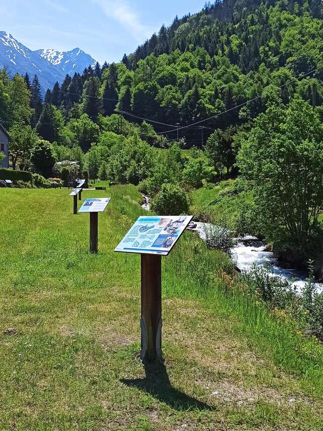 À contre-courant sentier au fil de l'eau