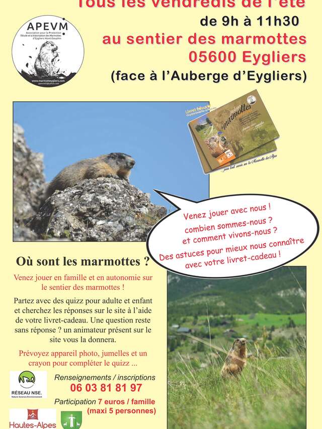 Where are the marmots?