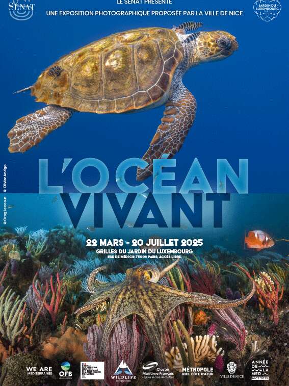 L'océan vivant